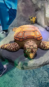 レゴランドⓇ・ジャパン・リゾートに投稿された画像（2026/8/14）