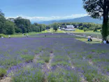 たんばらラベンダーパークに投稿された画像（2026/8/14）