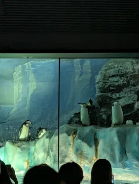 名古屋港水族館に投稿された画像（2026/8/14）