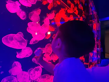 名古屋港水族館に投稿された画像（2026/8/14）