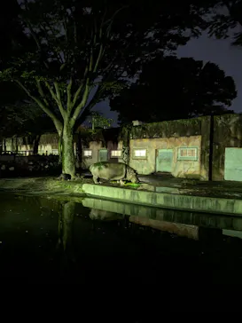 日立市かみね動物園に投稿された画像（2026/8/14）