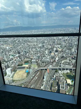 ハルカス300(展望台)に投稿された画像（2026/8/14）