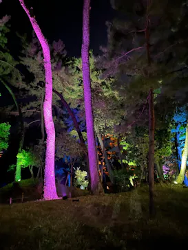 広島県縮景園・広島県立美術館に投稿された画像（2026/8/14）