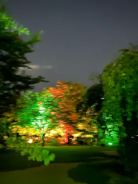 広島県縮景園・広島県立美術館に投稿された画像（2026/8/14）
