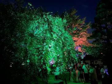 広島県縮景園・広島県立美術館に投稿された画像（2026/8/14）
