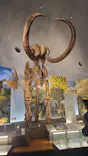 福井県立恐竜博物館に投稿された画像（2026/8/14）