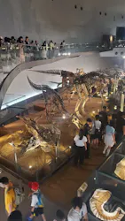 福井県立恐竜博物館に投稿された画像（2026/8/14）