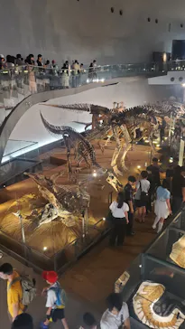 福井県立恐竜博物館に投稿された画像（2026/8/14）