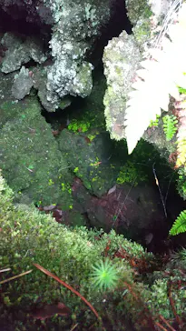 鬼押出し園に投稿された画像（2026/8/14）