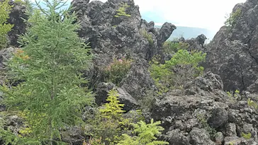 鬼押出し園に投稿された画像（2026/8/14）