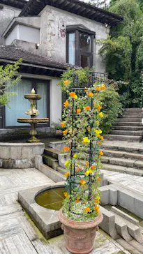 箱根ガラスの森美術館に投稿された画像（2026/8/14）