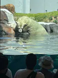 天王寺動物園に投稿された画像（2026/8/15）
