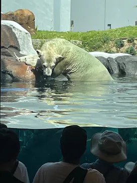 天王寺動物園に投稿された画像（2026/8/14）