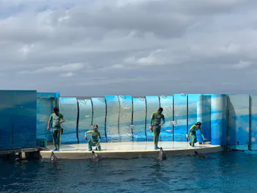 新江ノ島水族館に投稿された画像（2026/8/14）