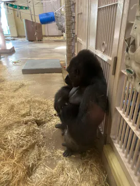 名古屋市東山動植物園に投稿された画像（2026/8/14）
