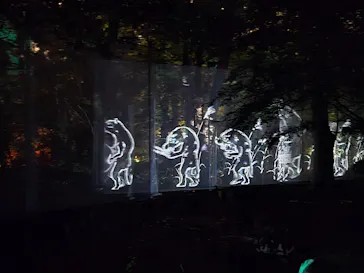チームラボ ボタニカルガーデン 大阪に投稿された画像（2026/8/14）