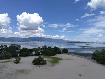 滋賀県立琵琶湖博物館に投稿された画像（2026/8/15）
