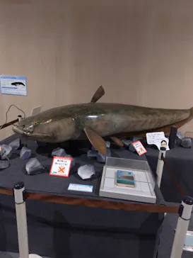 滋賀県立琵琶湖博物館に投稿された画像（2026/8/15）