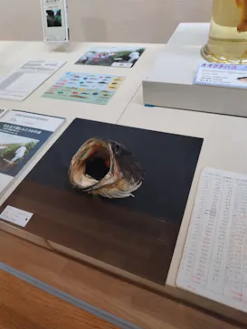 滋賀県立琵琶湖博物館に投稿された画像（2026/8/15）
