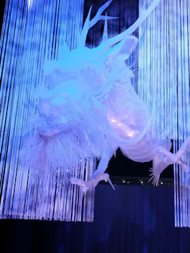 滋賀県立琵琶湖博物館に投稿された画像（2026/8/15）