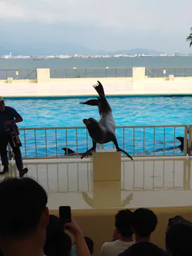 マリンワールド海の中道に投稿された画像（2026/8/15）