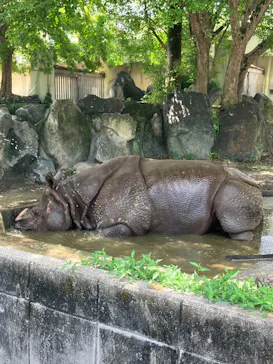 名古屋市東山動植物園に投稿された画像（2026/8/15）
