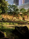 天王寺動物園に投稿された画像（2026/8/15）