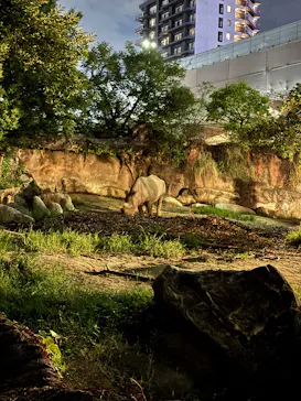 天王寺動物園に投稿された画像（2026/8/15）