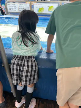 大分マリーンパレス水族館 「うみたまご」に投稿された画像（2026/8/15）