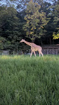名古屋市東山動植物園に投稿された画像（2026/8/15）