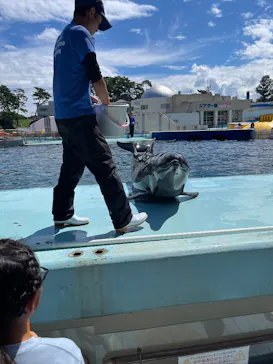越前松島水族館に投稿された画像（2026/8/15）