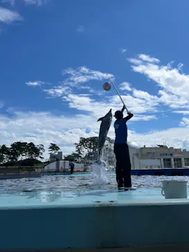 越前松島水族館に投稿された画像（2026/8/15）