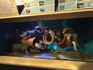 竹島水族館に投稿された画像（2026/8/15）