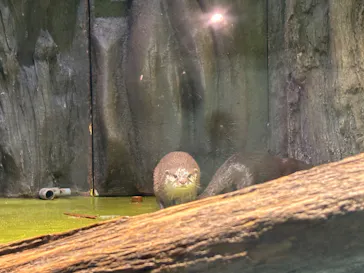 竹島水族館に投稿された画像（2026/8/15）