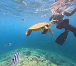 diving&workshop IHANASHI（ダイビングアンドワークショップイハナシ）に投稿された画像（2026/8/15）