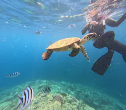 diving&workshop IHANASHI（ダイビングアンドワークショップイハナシ）に投稿された画像（2026/8/15）