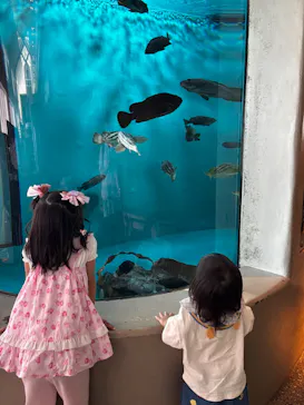 アクアワールド茨城県大洗水族館に投稿された画像（2026/8/15）