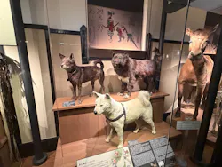 国立科学博物館に投稿された画像（2026/8/15）
