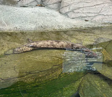 名古屋市東山動植物園に投稿された画像（2026/8/15）