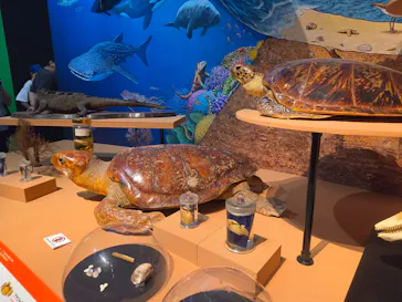 特別展「いきもの超ワールド展　国立科学博物館×ダーウィンが来た！」（国立科学博物館）に投稿された画像（2026/8/15）
