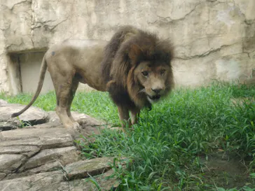 千葉市動物公園に投稿された画像（2026/8/15）