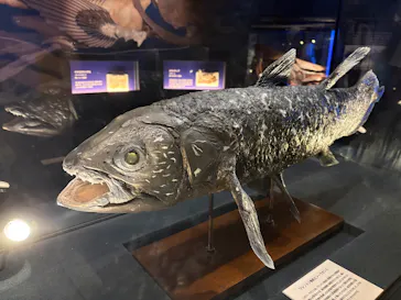 ミュージアムパーク茨城県自然博物館に投稿された画像（2026/8/15）