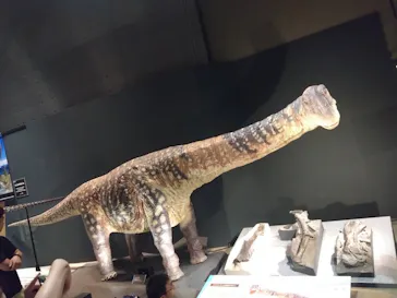 福井県立恐竜博物館に投稿された画像（2026/8/15）