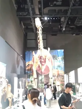 福井県立恐竜博物館に投稿された画像（2026/8/15）