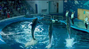 仙台うみの杜水族館に投稿された画像（2026/8/15）