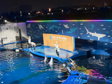 仙台うみの杜水族館に投稿された画像（2026/8/15）