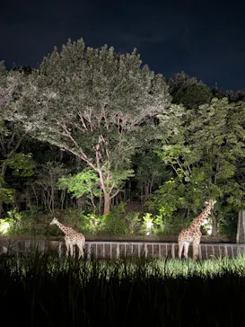 名古屋市東山動植物園に投稿された画像（2026/8/15）