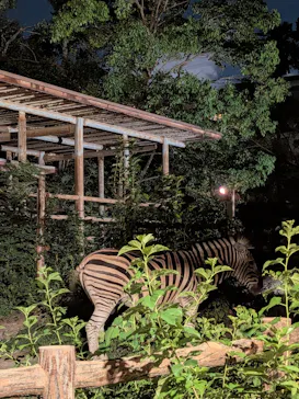 名古屋市東山動植物園に投稿された画像（2026/8/15）