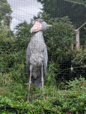 恩賜上野動物園に投稿された画像（2026/8/15）