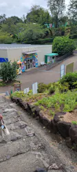 日本モンキーパークに投稿された画像（2026/8/15）